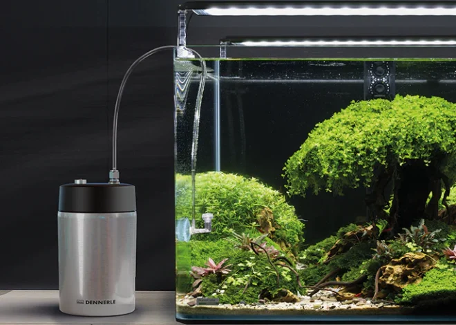 Best Dennerle CO2 system