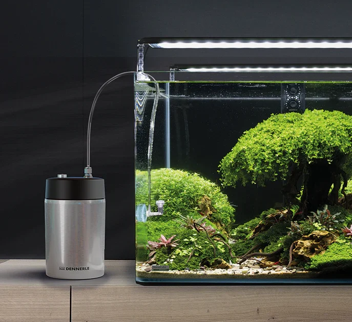 Best Dennerle CO2 system