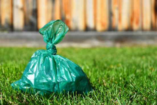 How Biodegradable Dog Poop Bags Help You Manage Pet Waste Hassle-Free