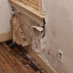 Peeling Wall Paint: Stop Moisture Ruining Interior Finishes