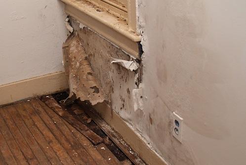 Peeling Wall Paint: Stop Moisture Ruining Interior Finishes