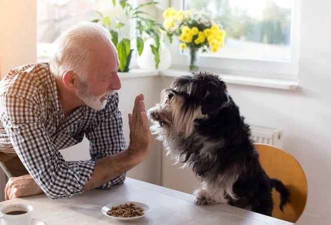 Lonely Older Dogs: Add Gentle Activity and Companionship