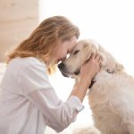 Nervous Pets Traveling - Reduce Stress With Better Preparation
