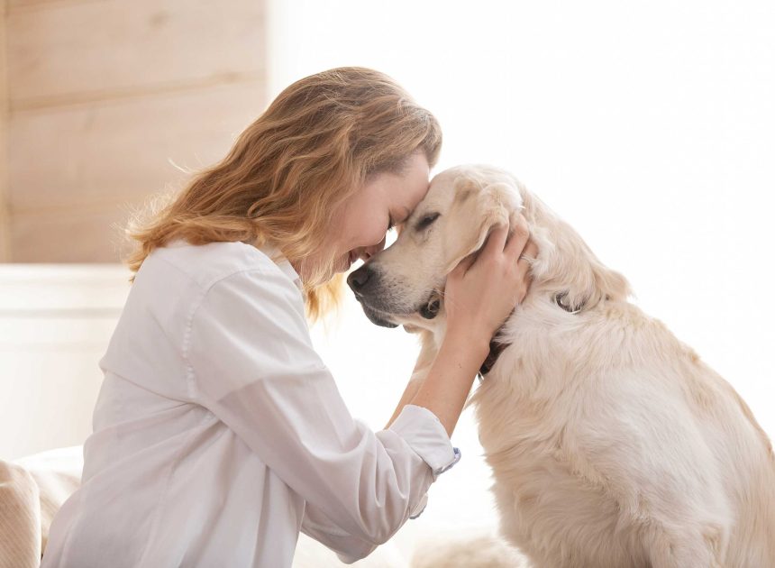 Nervous Pets Traveling – Reduce Stress With Better Preparation