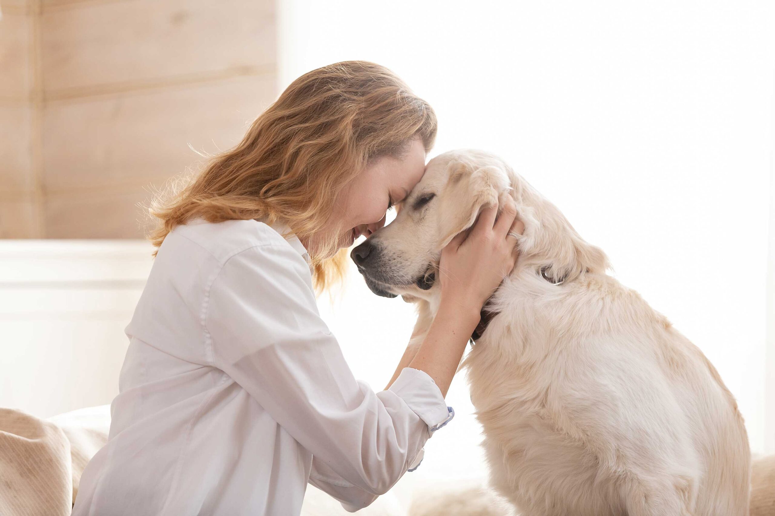 Nervous Pets Traveling – Reduce Stress With Better Preparation