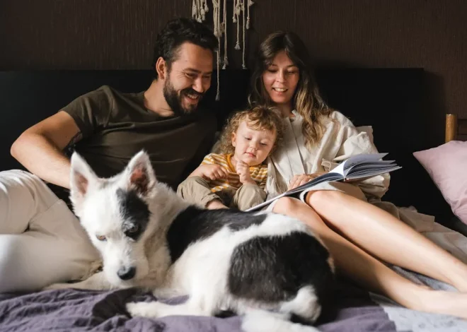 Restless Nighttime Pets: Create Calmer Sleep Time Routines