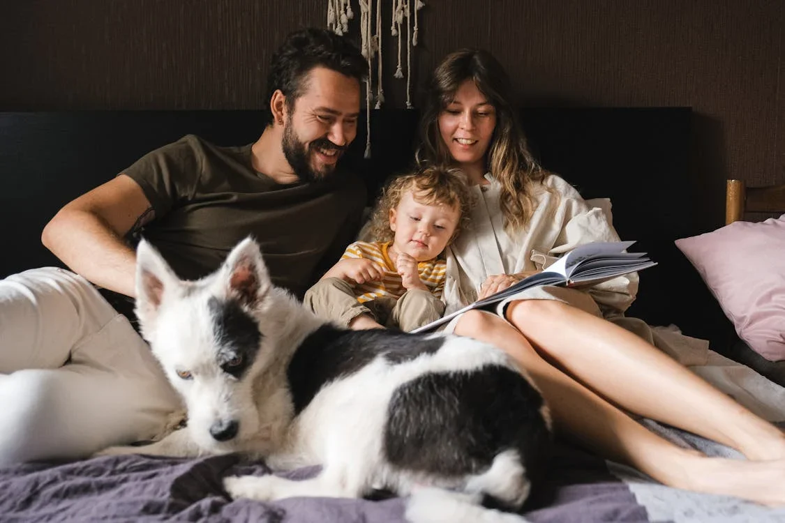 Restless Nighttime Pets: Create Calmer Sleep Time Routines