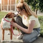 Scared Rescue Dogs - Build Trust Through Gentle Routines