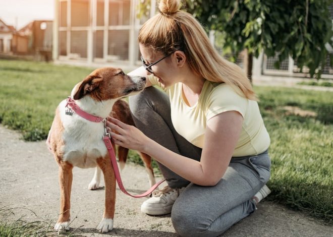 Scared Rescue Dogs – Build Trust Through Gentle Routines