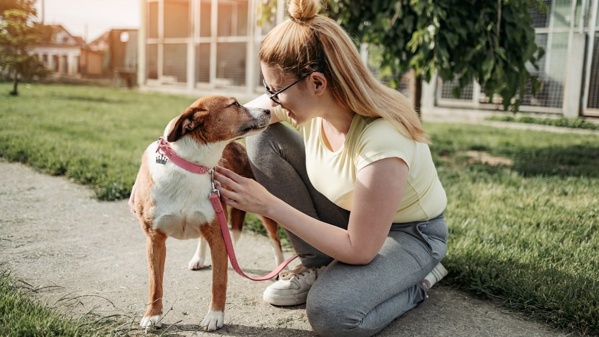 Scared Rescue Dogs – Build Trust Through Gentle Routines
