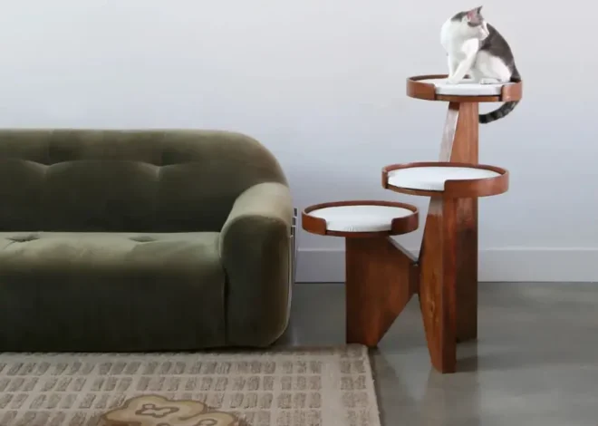 Scratching Indoor Cats – Protect Furniture With Better Alternatives
