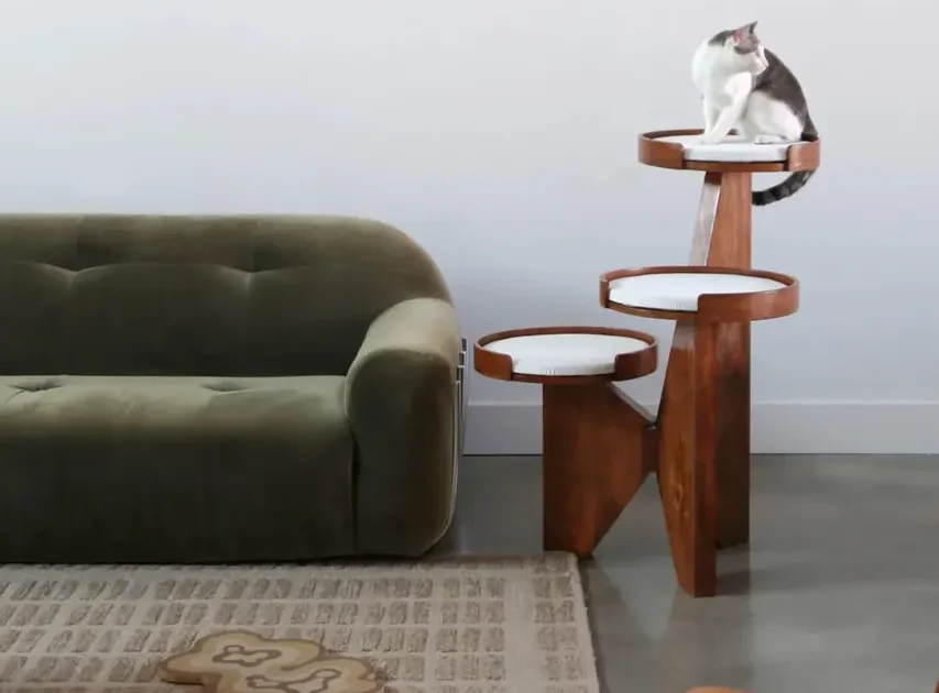 Scratching Indoor Cats – Protect Furniture With Better Alternatives
