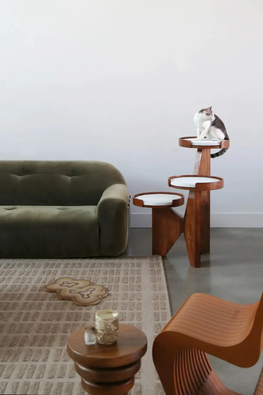 Scratching Indoor Cats – Protect Furniture With Better Alternatives