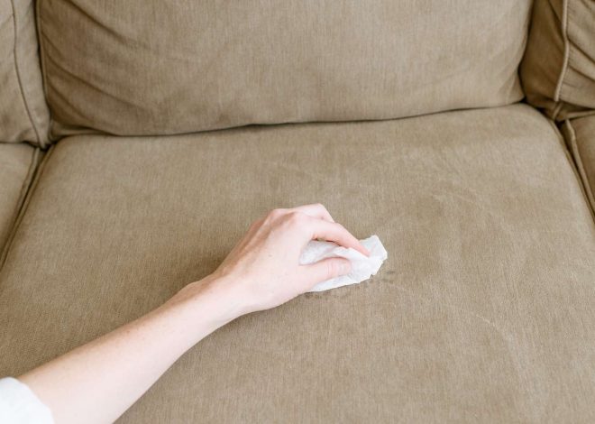 Stained Sofa Fabric: Lift Marks Without Spreading Damage